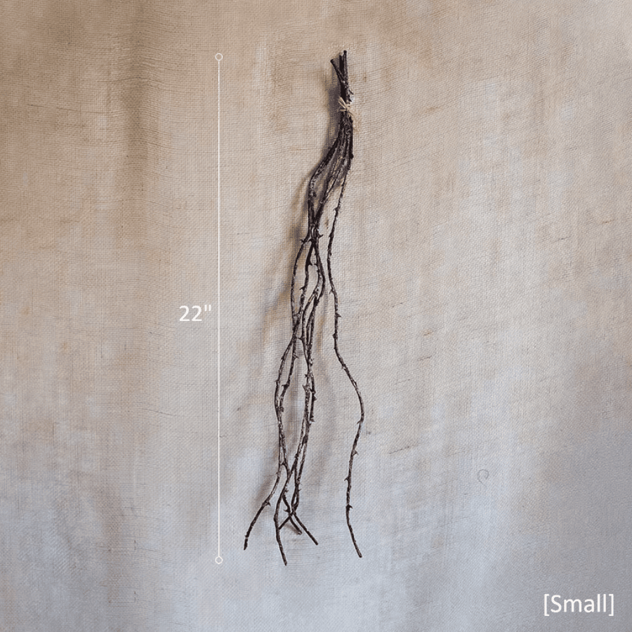 Ikebana Twig Branch