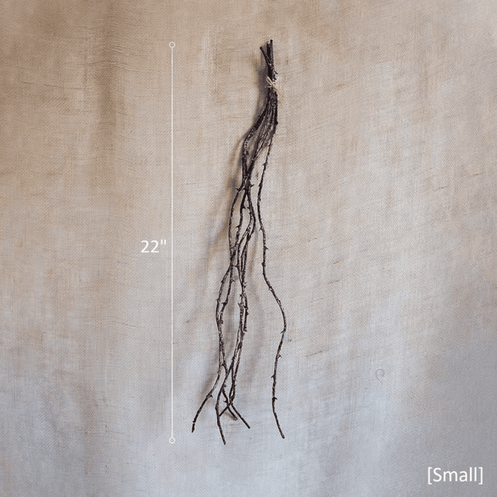 Ikebana Twig Branch