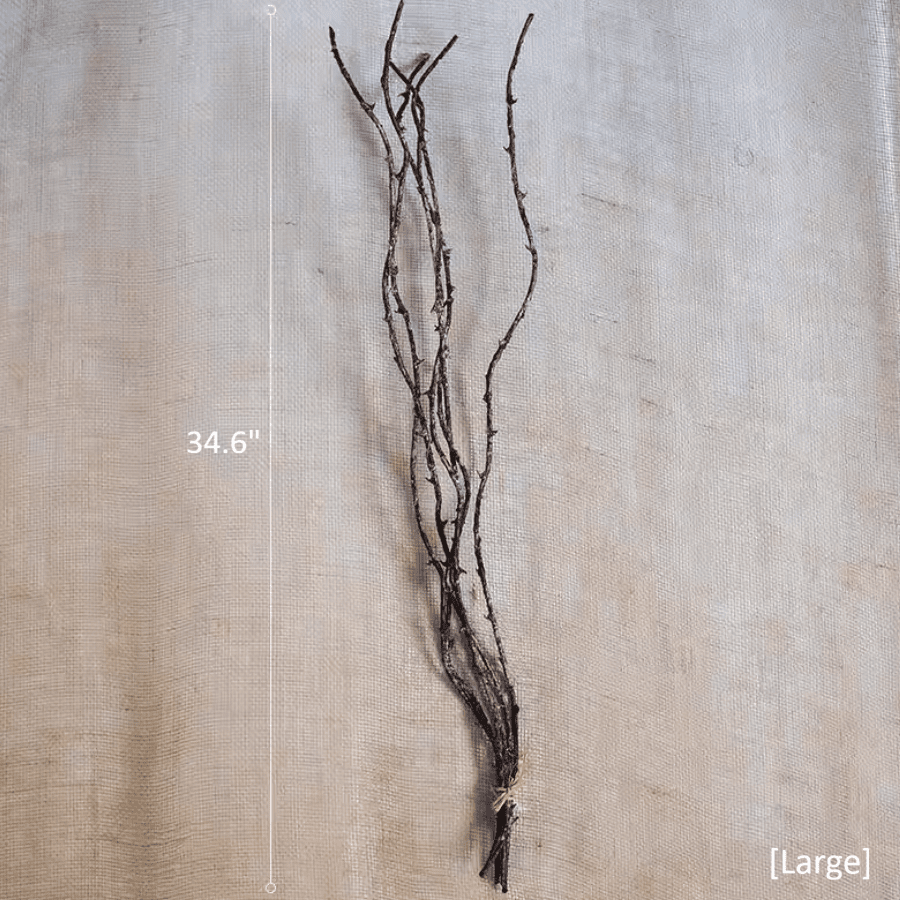 Ikebana Twig Branch