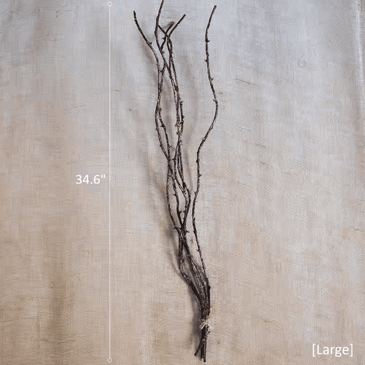 Ikebana Twig Branch