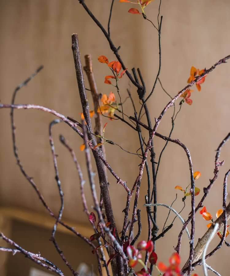 Ikebana Twig Branch