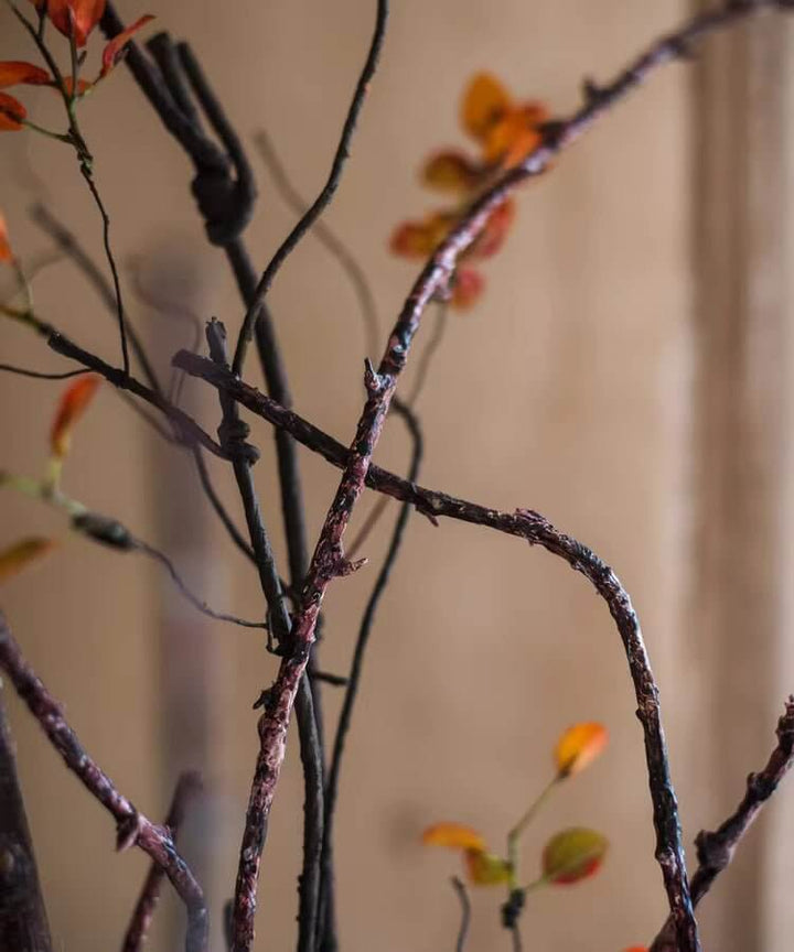 Ikebana Twig Branch