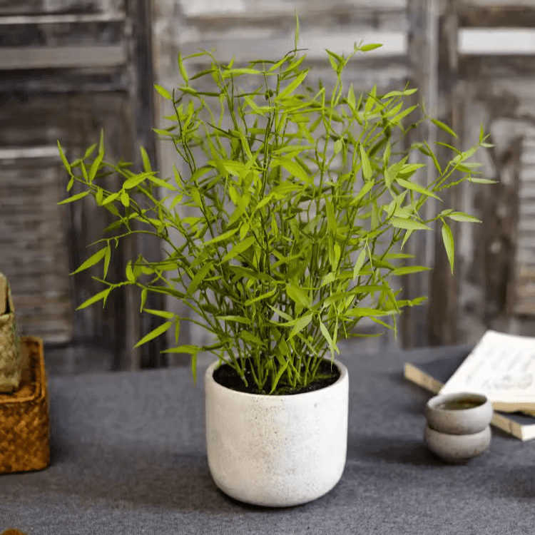 Realistic Mini Bamboo Leaf Potted Plant – Vintage Shopper