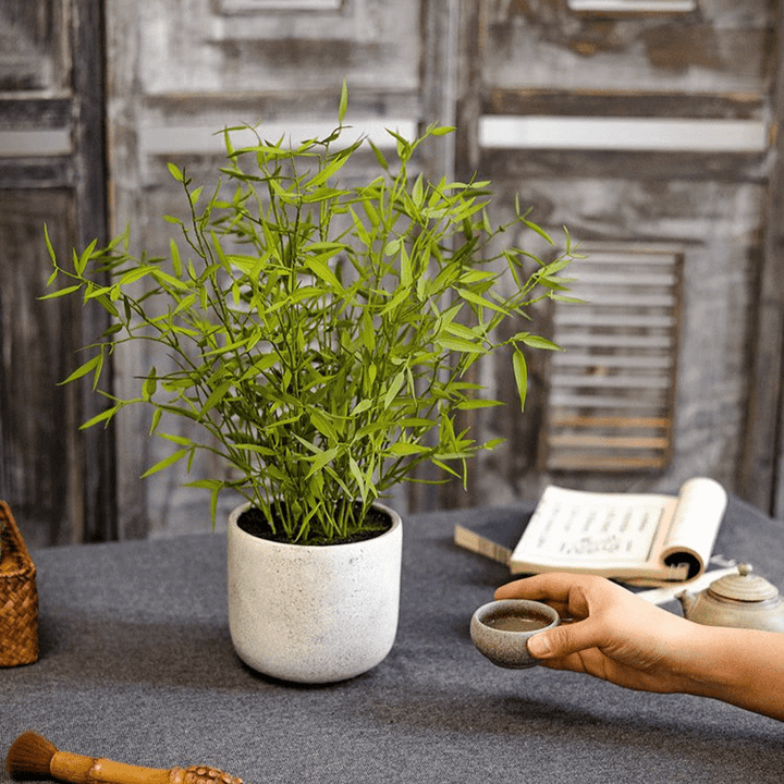 Realistic Mini Bamboo Leaf Potted Plant