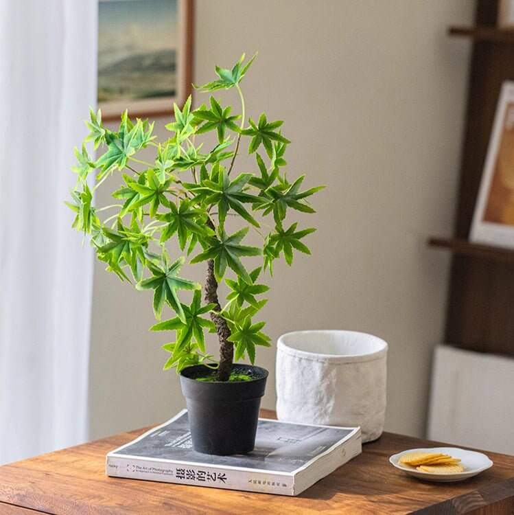 Vintage Home Décor Sale | Timeless Style at Exceptional Value