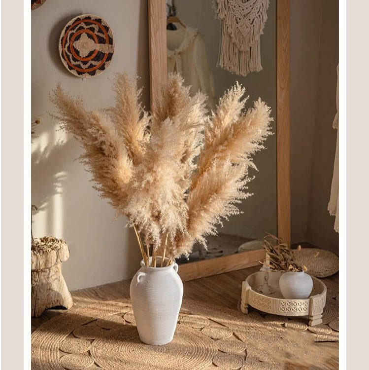 Natural Reed Stem 10 Stem Set 51" Tall