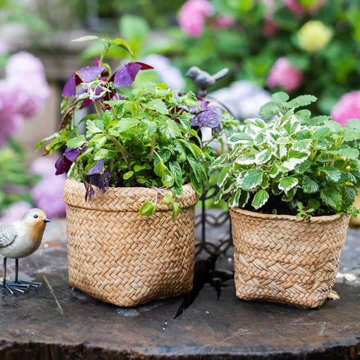Straw Basket Style Concrete Planter