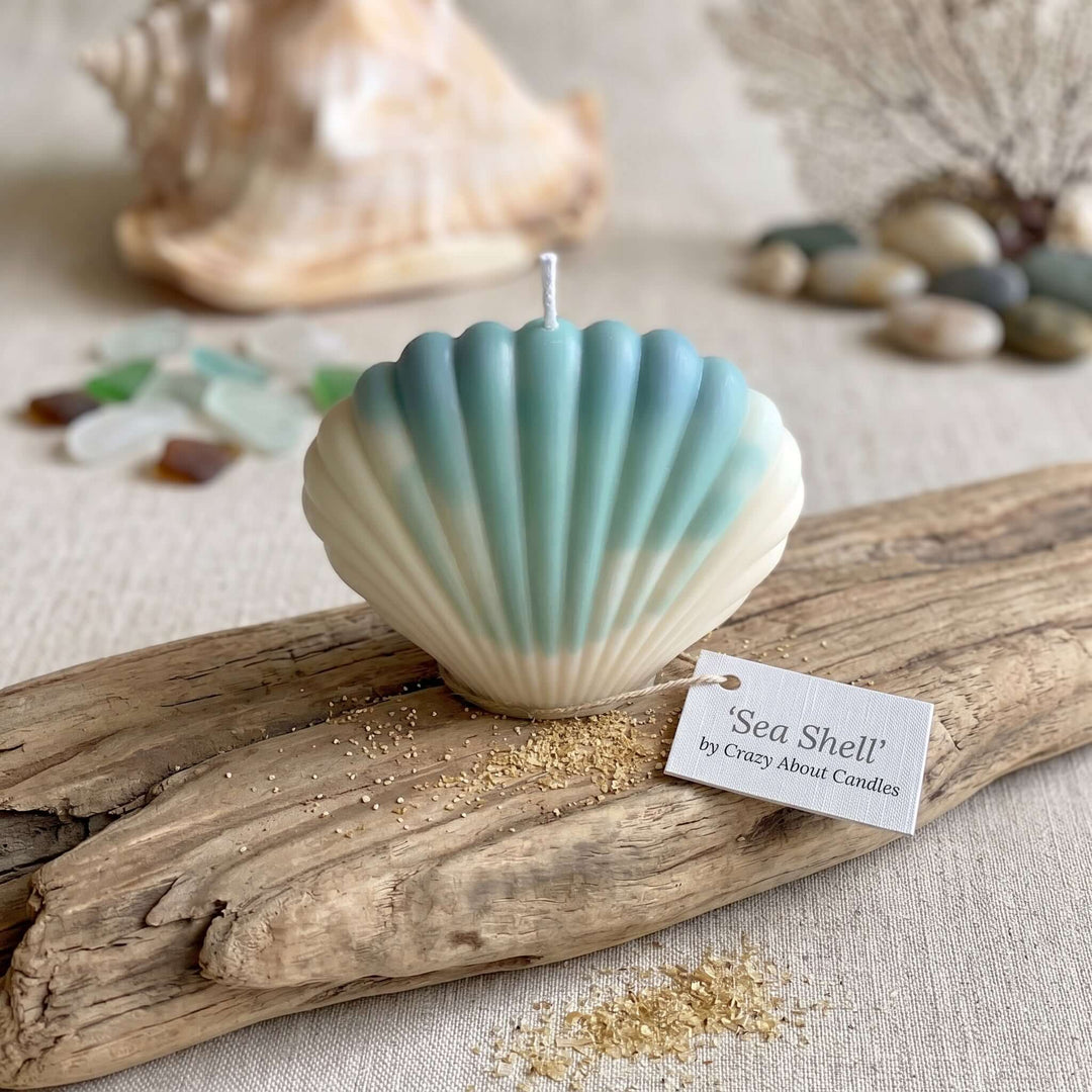 Scallop Shell Soy Wax Candle