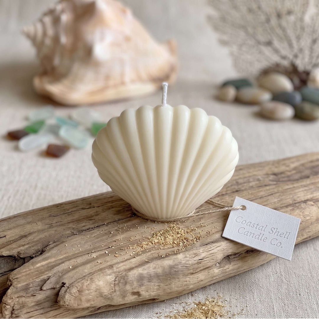 Scallop Shell Soy Wax Candle