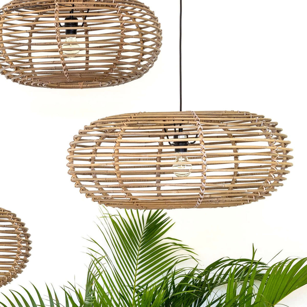 Wicker pendant lights with a plant in the background on a white background