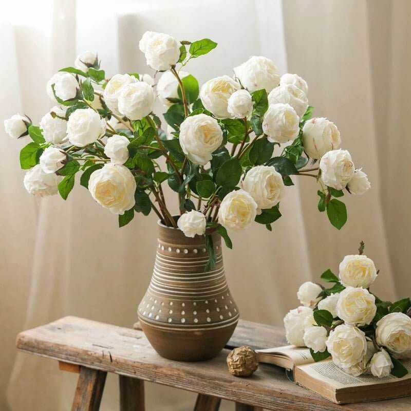 White Cabbage Rose Stem 20.8
