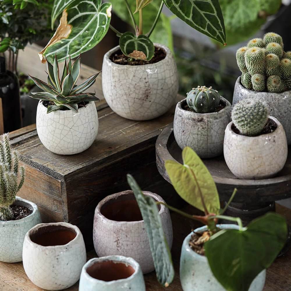 vintage succulent planters Crackle Glazed Succulent Pot Randomly Picked Set of 5 – Vintage Shopper