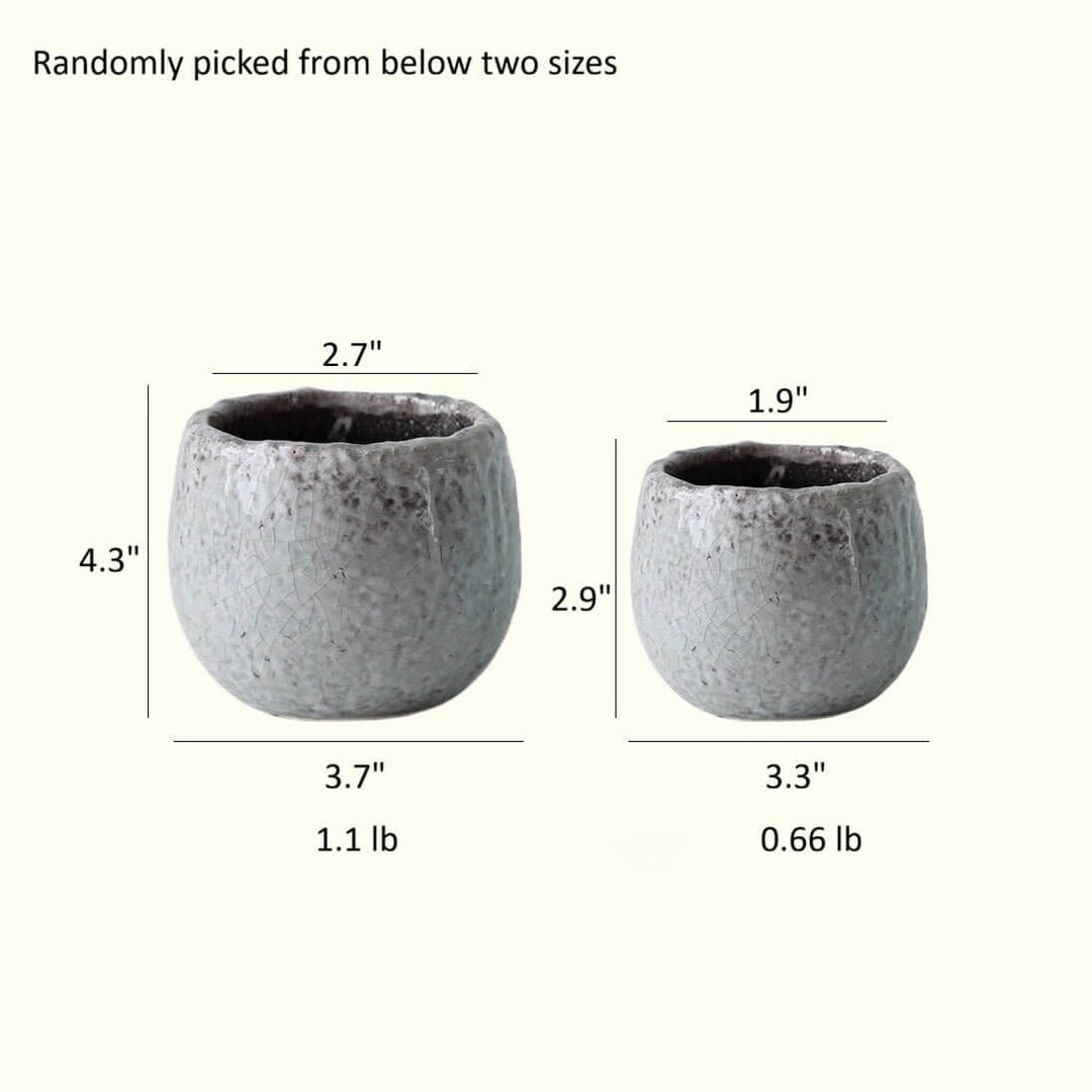 Crackle Glazed Succulent Pot Randomly Picked Set of 5