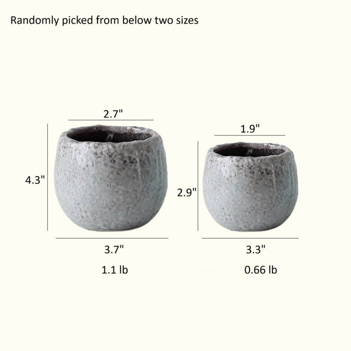 Crackle Glazed Succulent Pot Randomly Picked Set of 5