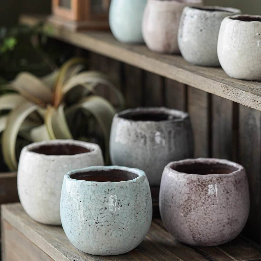 Crackle Glazed Succulent Pot Randomly Picked Set of 5