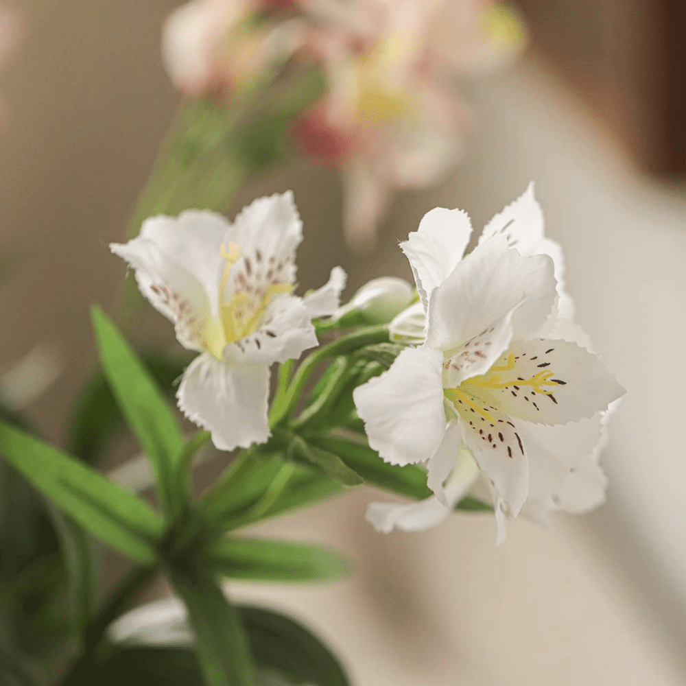 Artificial Peruvian Lily Stem 29.5" Tall
