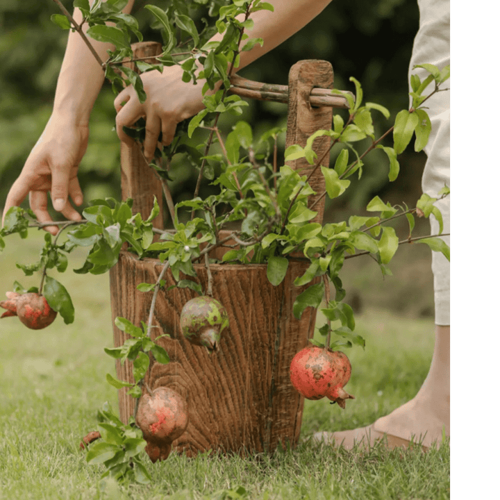 Old-fashioned Wooden Round Bucket Planter