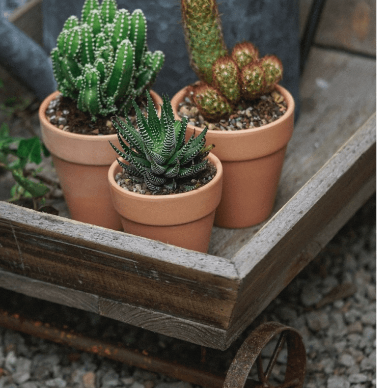 Small Decorative Wooden Wagon Flower Cart