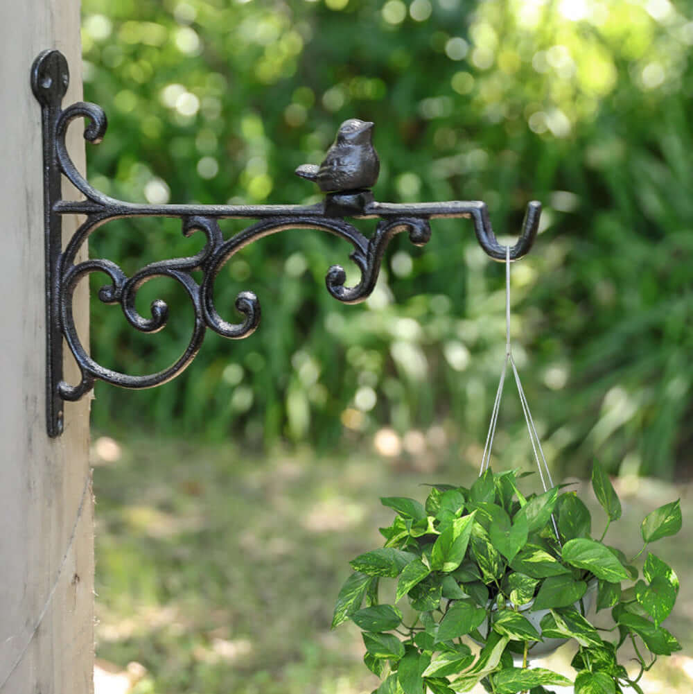 Decorative metal bracket with bird design holding a hanging plant against a blurred green garden background.