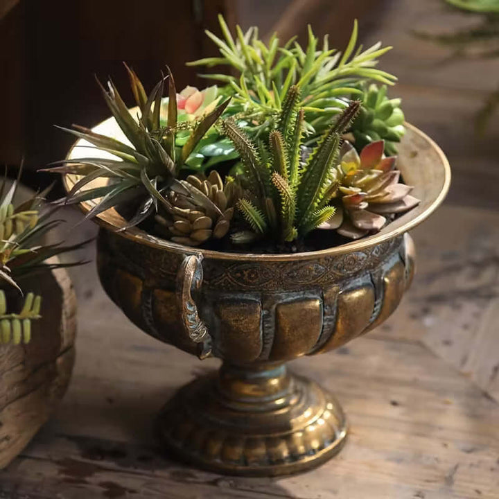 Decorative bronze planter with succulents on a wooden surface