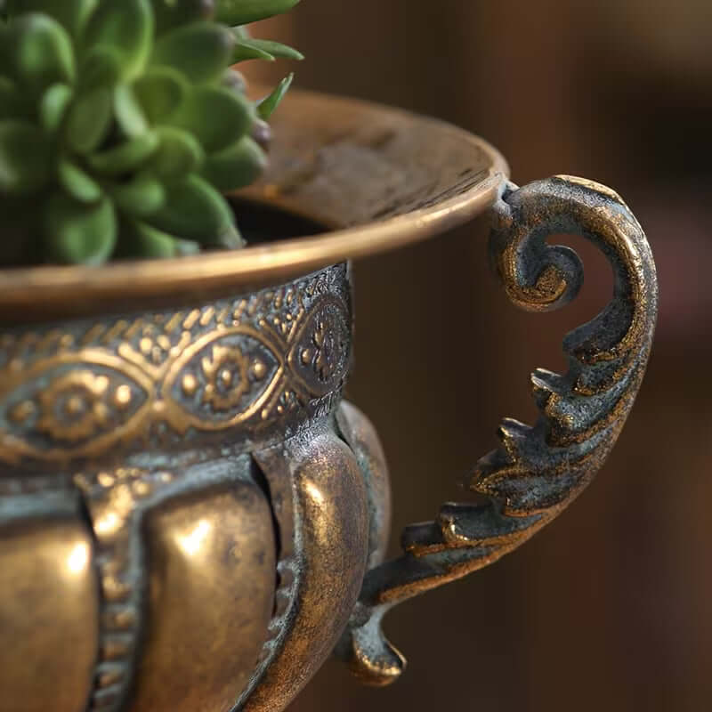 Decorative bronze planter with a succulent plant on a blurred background