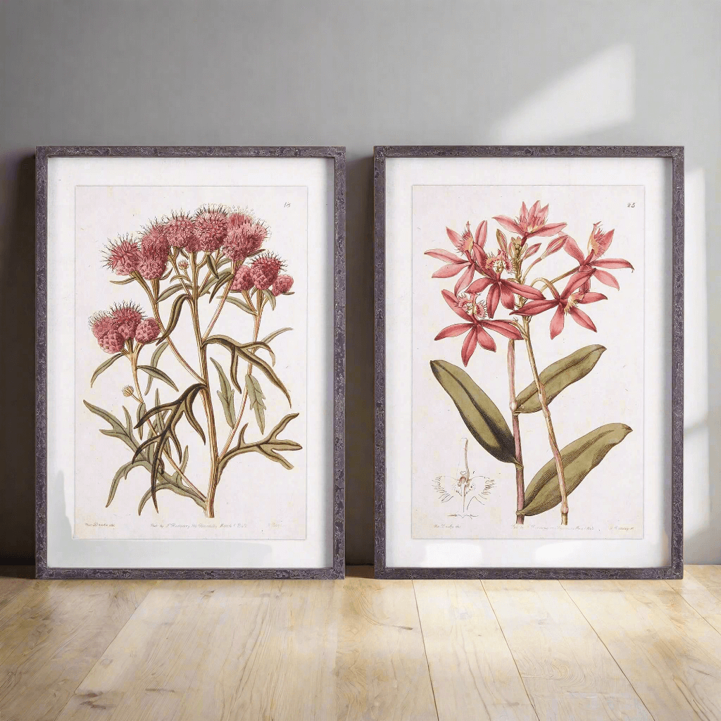 Pink Vintage Botanical Floral Prints