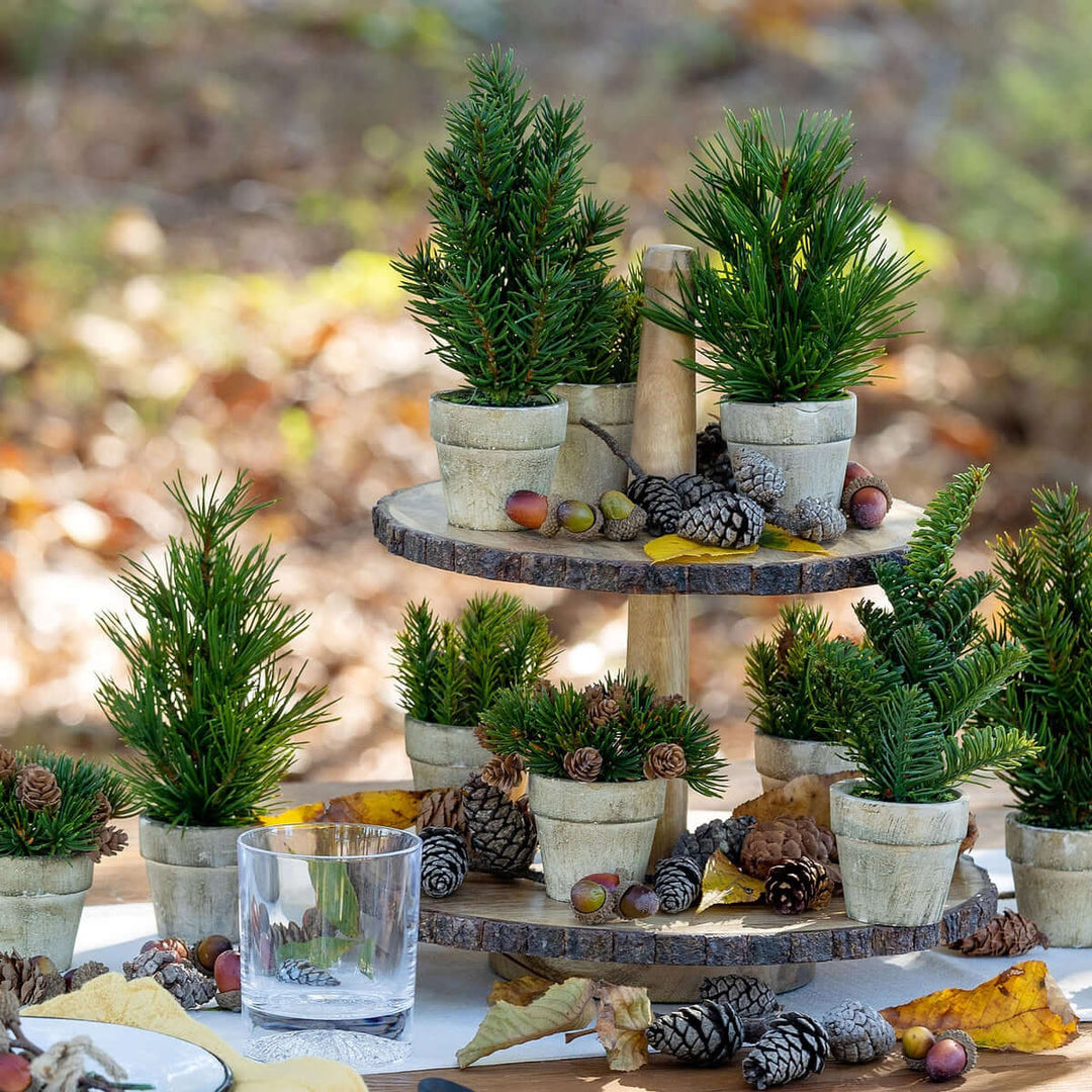 Decorative display with potted plants, pinecones, and fruits on a tiered stand outdoors.