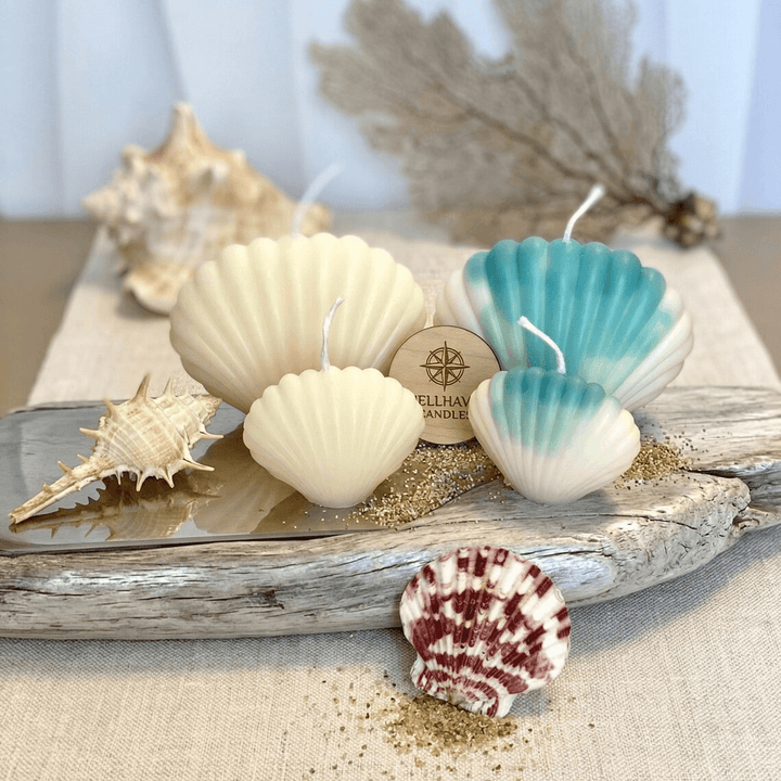 Scallop Shell Soy Wax Candle