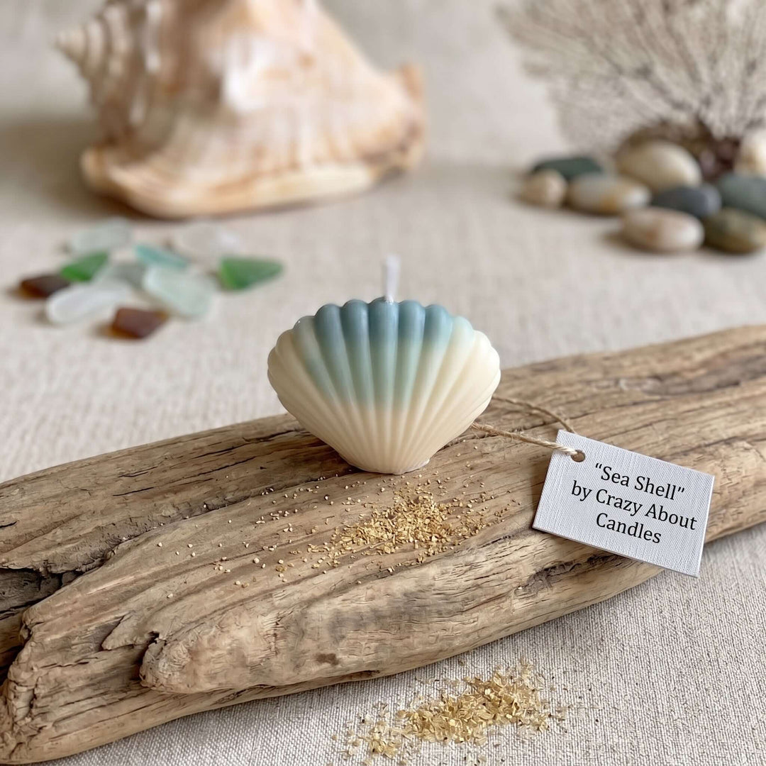 Scallop Shell Soy Wax Candle