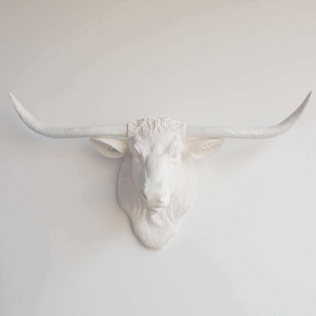 Handcrafted Faux Texas Longhorn Wall Sculpture