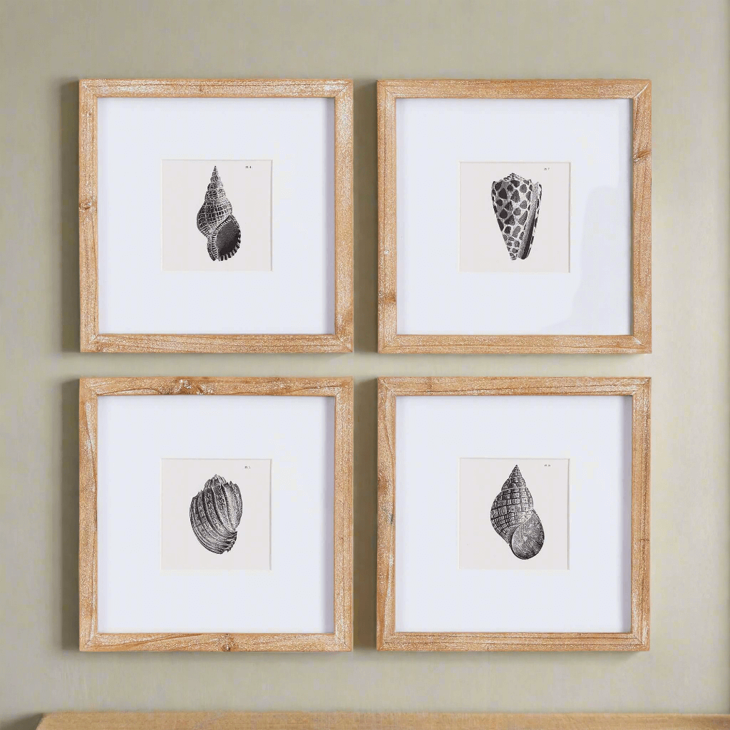 Vintage Coastal Seashell Wall Art Set