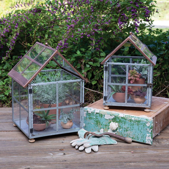 Set of 2 vintage farmhouse glass and metal terrariums with succulents, showcasing charming house shapes and rustic accents.