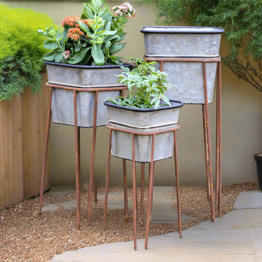 Vintage galvanized metal planters with rusted stands showcasing plants in a charming garden setting.
