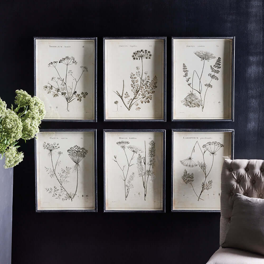 Vintage Monochromatic Botanical Wildflower Wall Art hung on a dark wall
