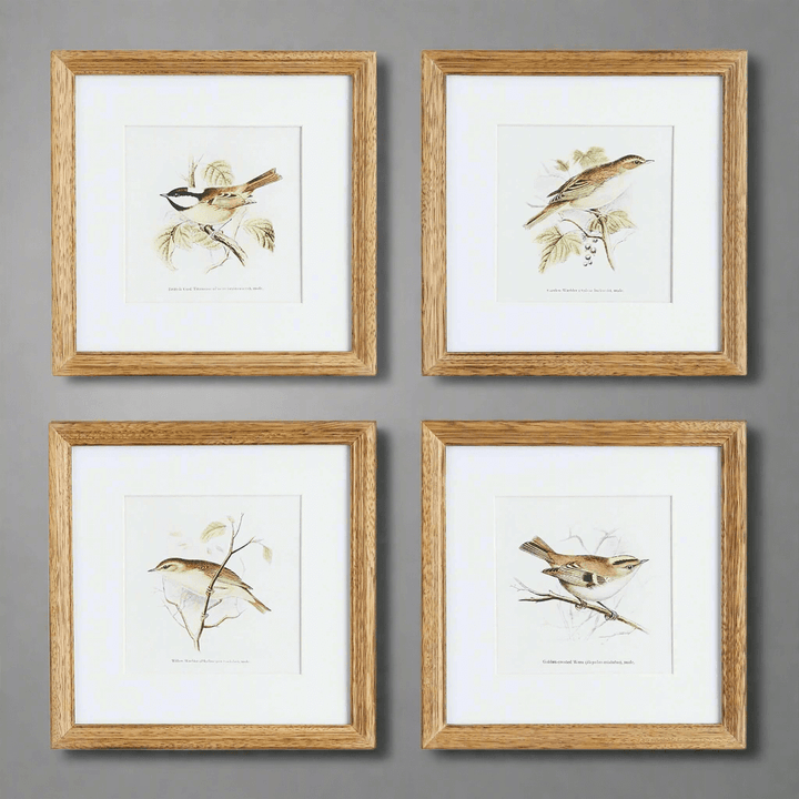 Vintage Songbird Prints Wall Art 