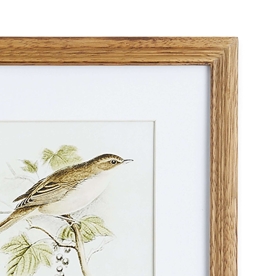 Vintage Songbird Prints Wall Art closeup on frame