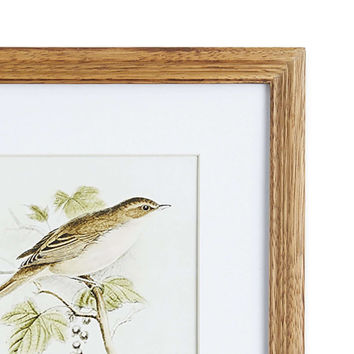 Vintage Songbird Prints Wall Art closeup on frame