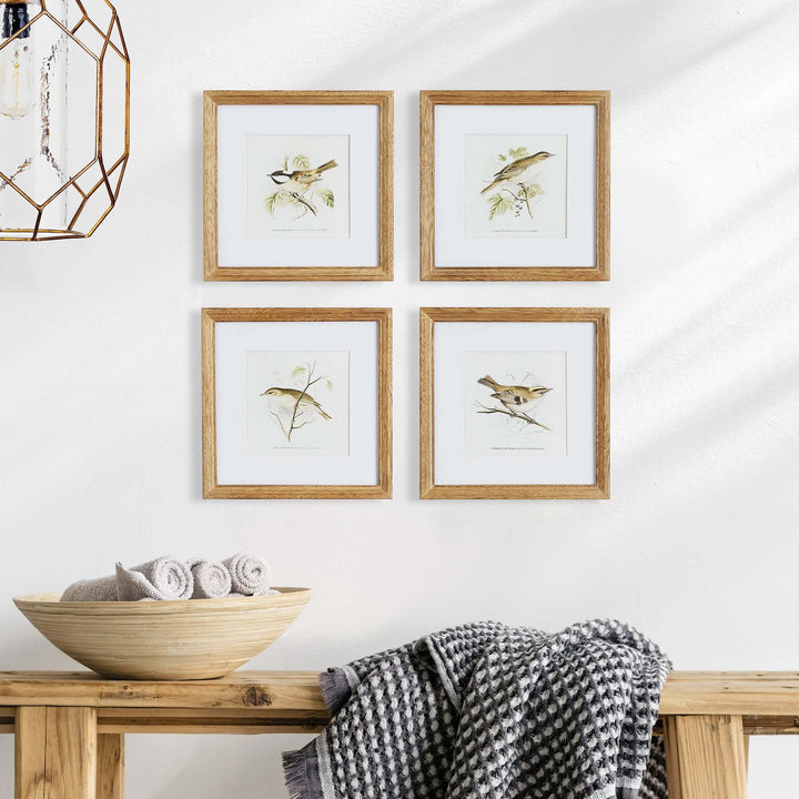 Vintage Songbird Prints Wall Art hung on a wall with a bench and other decorative items below