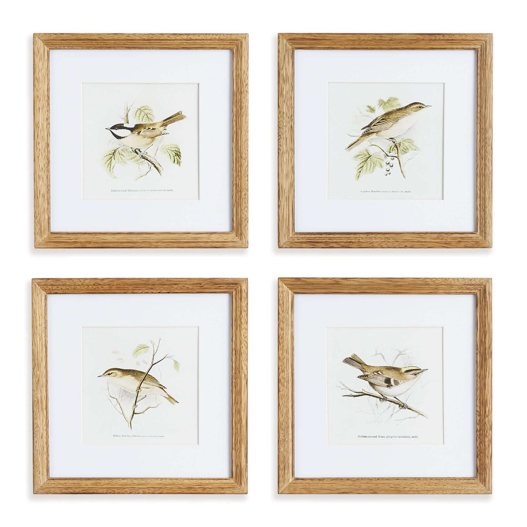 Vintage Songbird Prints Wall Art 