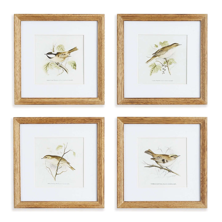 Vintage Songbird Prints Wall Art 