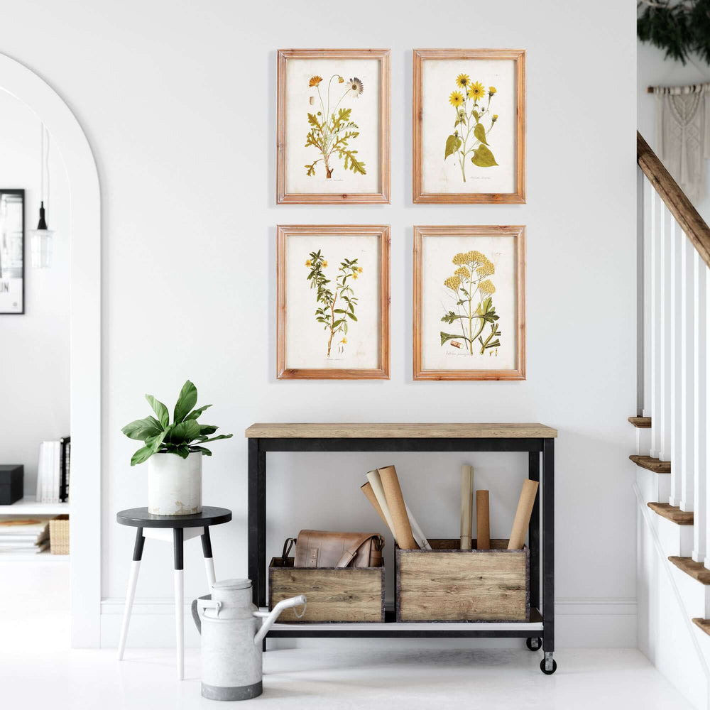 Vintage Wildflower Botanical Prints Set in Rustic Wood Frames (Set of 4 ...