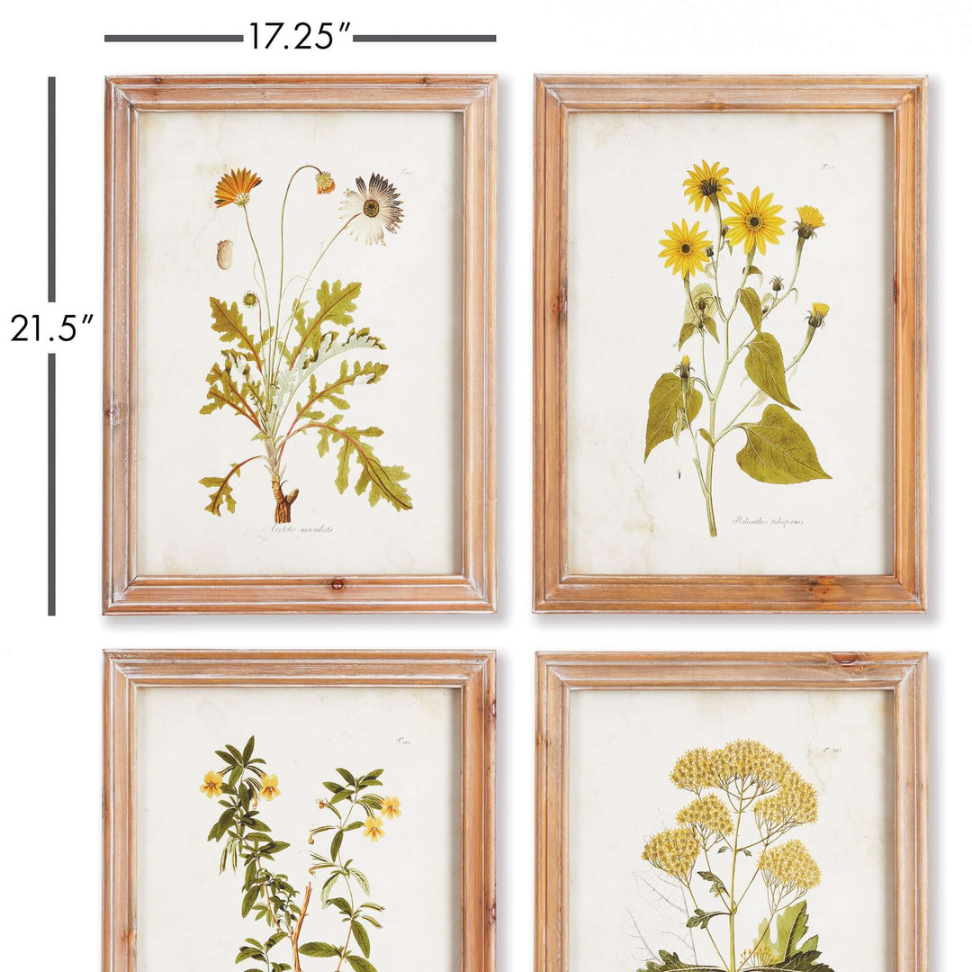 Vintage Wildflower Botanical Prints Set in Rustic Wood Frames (Set of 4 ...