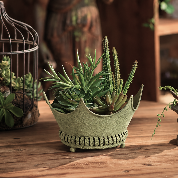 Aged Metal Crown Planter with Openwork Base filled with succulents