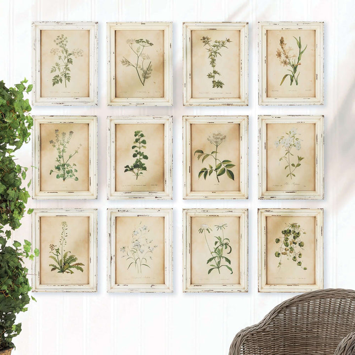 Set of 12 antique botanical flower prints in distressed white frames, showcasing delicate plant illustrations.