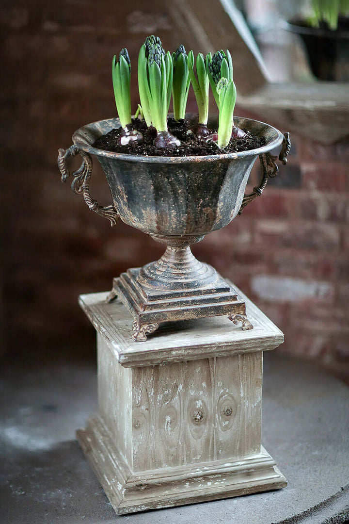 Antique Decorative Urn in Distressed Metal with emerging plant shoots, showcasing historical charm and timeless elegance in interior decor.