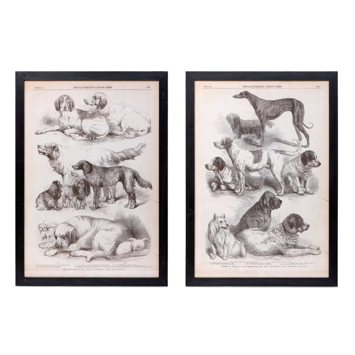 Antique Dog Art Prints in Black Wood Frames (Set of 2) featuring 19th-century engravings of various dog breeds in sepia tones.