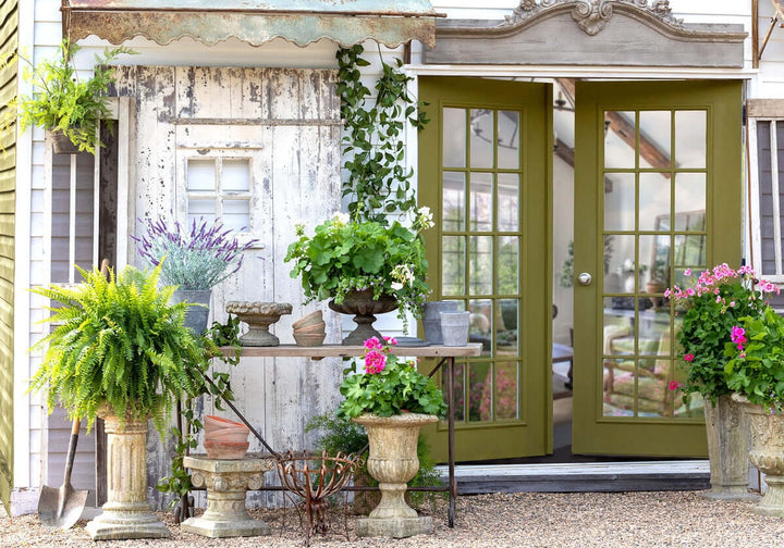 Charming garden setup with antique European columns and pedestals, adorned with lush plants and flowers, in front of rustic French doors.