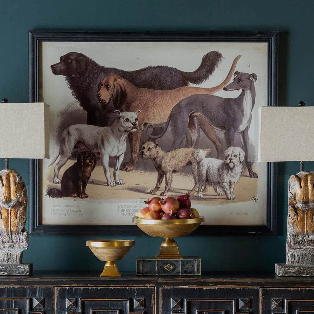 Antique Dog Breed Print in Black Frame depicting 19th-century zoological illustrations of various dog breeds.