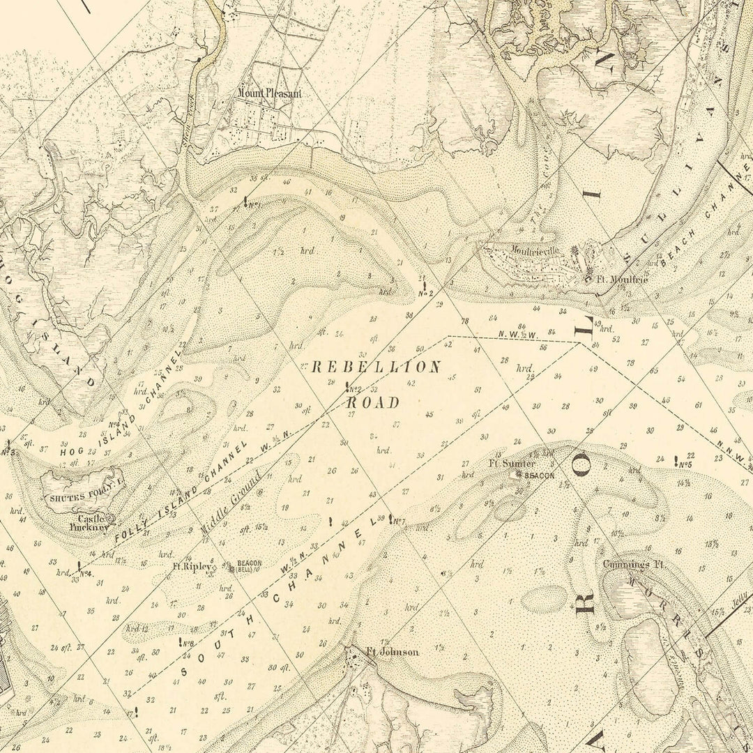 Antique Map of Charleston, South Carolina from 1884, nautical chart showcasing Charleston Harbor's historic waterways and landscapes.