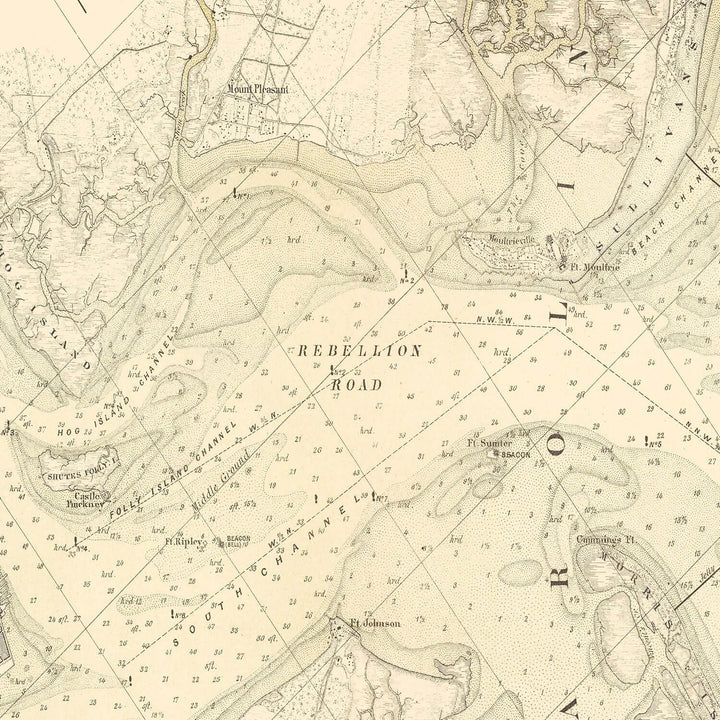 Antique Map of Charleston, South Carolina from 1884, nautical chart showcasing Charleston Harbor's historic waterways and landscapes.